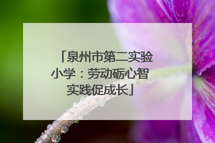 泉州市第二实验小学：劳动砺心智实践促成长